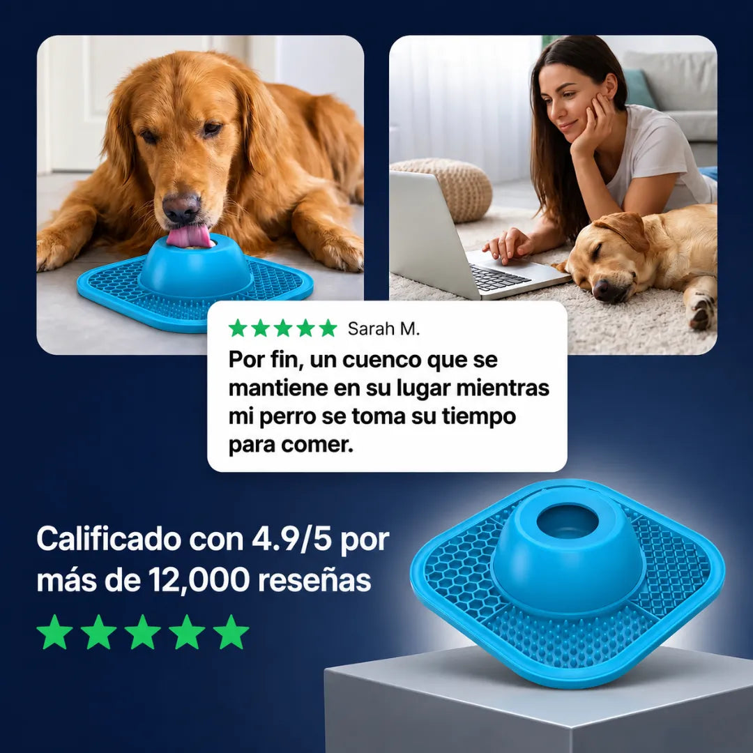 🐶CuencoZen™: El Comedero Todo en Uno